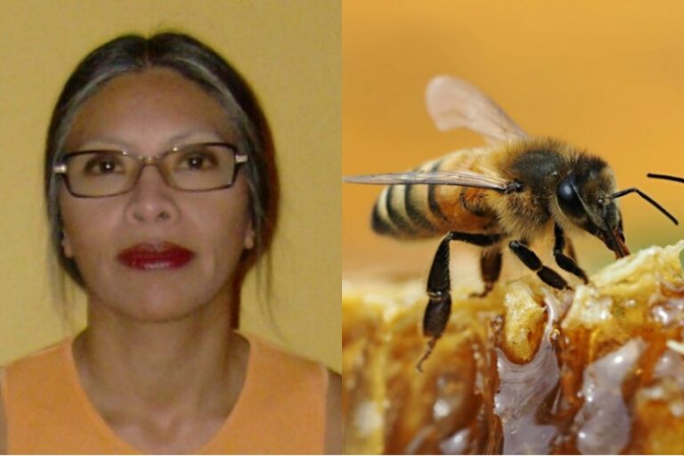 La columna de Sandra Carral Garcín | La miel y las abejas, amenazados por la contaminación agroquímica en Salta