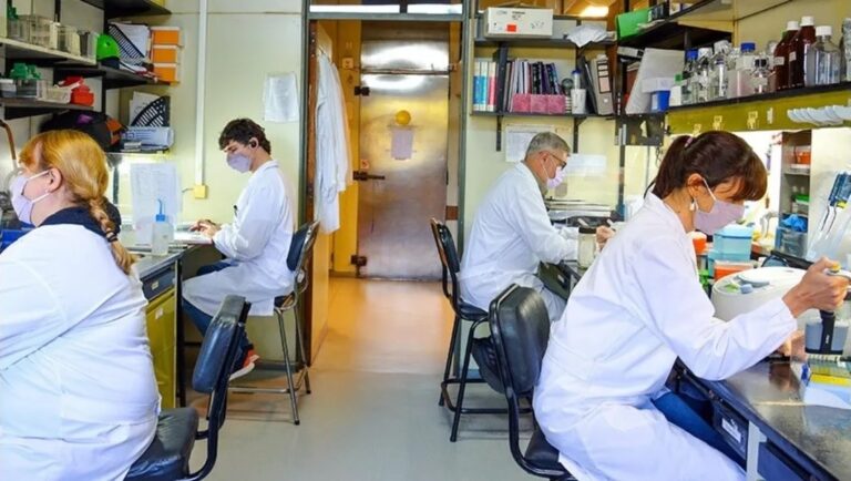 La vacuna contra el coronavirus que está desarrollando la Universidad de San Martín será probada en humanos en 2022