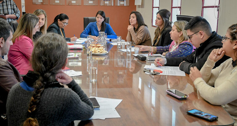 Concejo Deliberante de Salta | Buscan aprobar exenciones impositivas para víctimas de violencia de género
