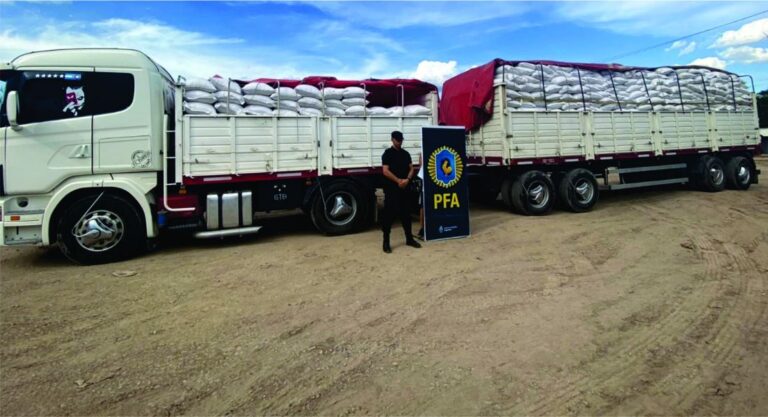Contrabando en la frontera salteña | Incautaron 45 toneladas de soja