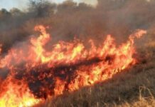 También en Orán y Tartagal | Alto riesgo de incendios forestales en Salta Capital