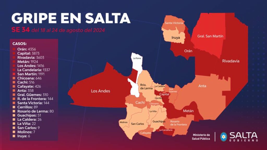 Gripe en Salta | Cinco departamentos concentran el 80% de los casos ...