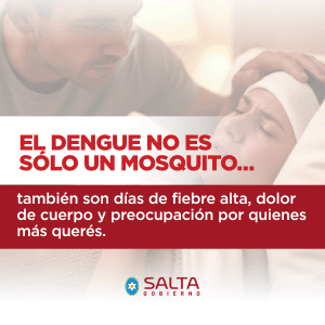 gob-salta-2025-10-28-dengue-300×300